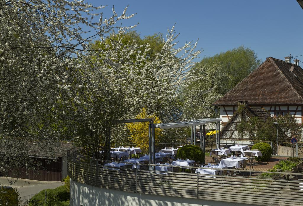 Hotel Pilgerhof Und Rebmannshof à Uhldingen-Mühlhofen Extérieur photo